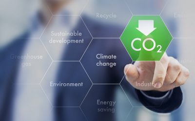 气候保护:政府间气候变化专门委员会建议使用生物炭作为二氧化碳储存库