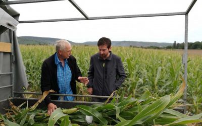 视频:SWR begleitet die Mais-Ernte des Carbon-Dünger-Projektes