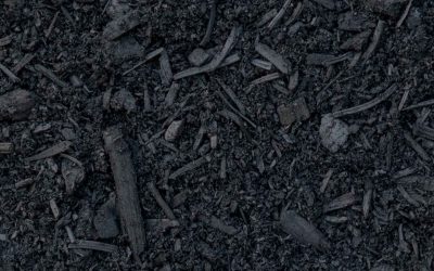 瑞典:气候委员会建议使用生物炭